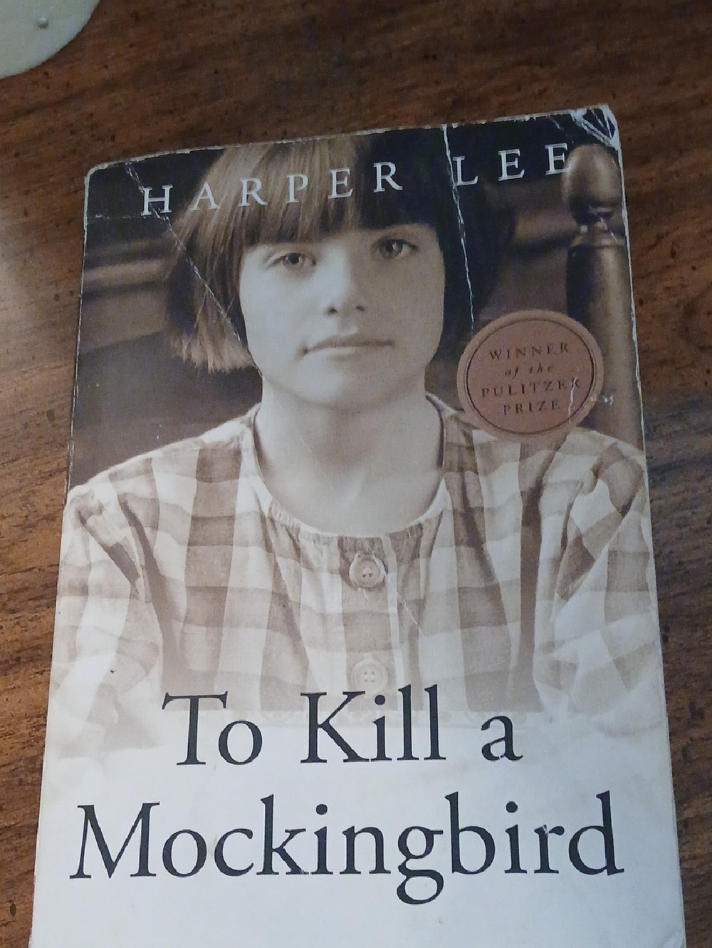 To Kill a Mockingbird Paperback Book - Beige Brown Cover